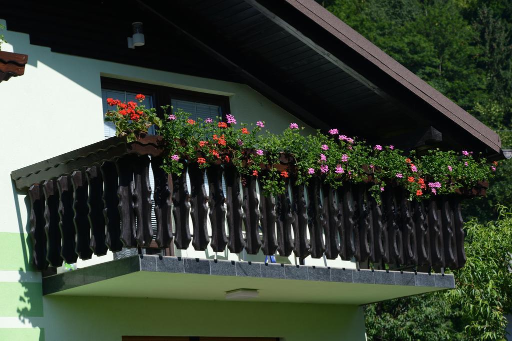 Zeleni Apartma Zreče Zewnętrze zdjęcie