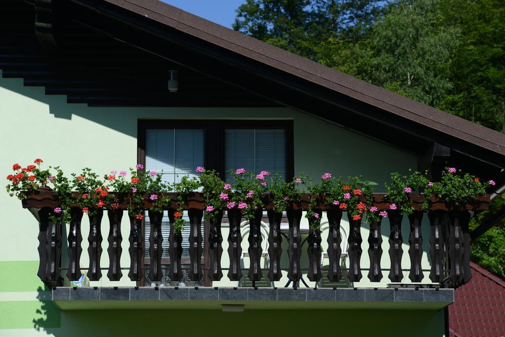 Zeleni Apartma Zreče Zewnętrze zdjęcie